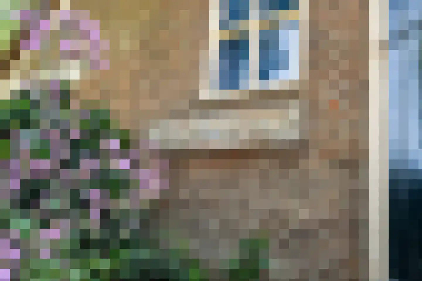 Schaapstreek 5 Sleen thumbnail 72