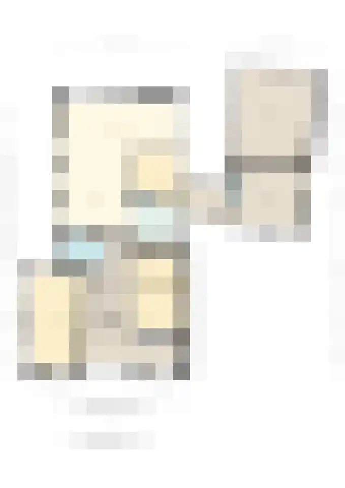 Schaapstreek 5 Sleen thumbnail 73
