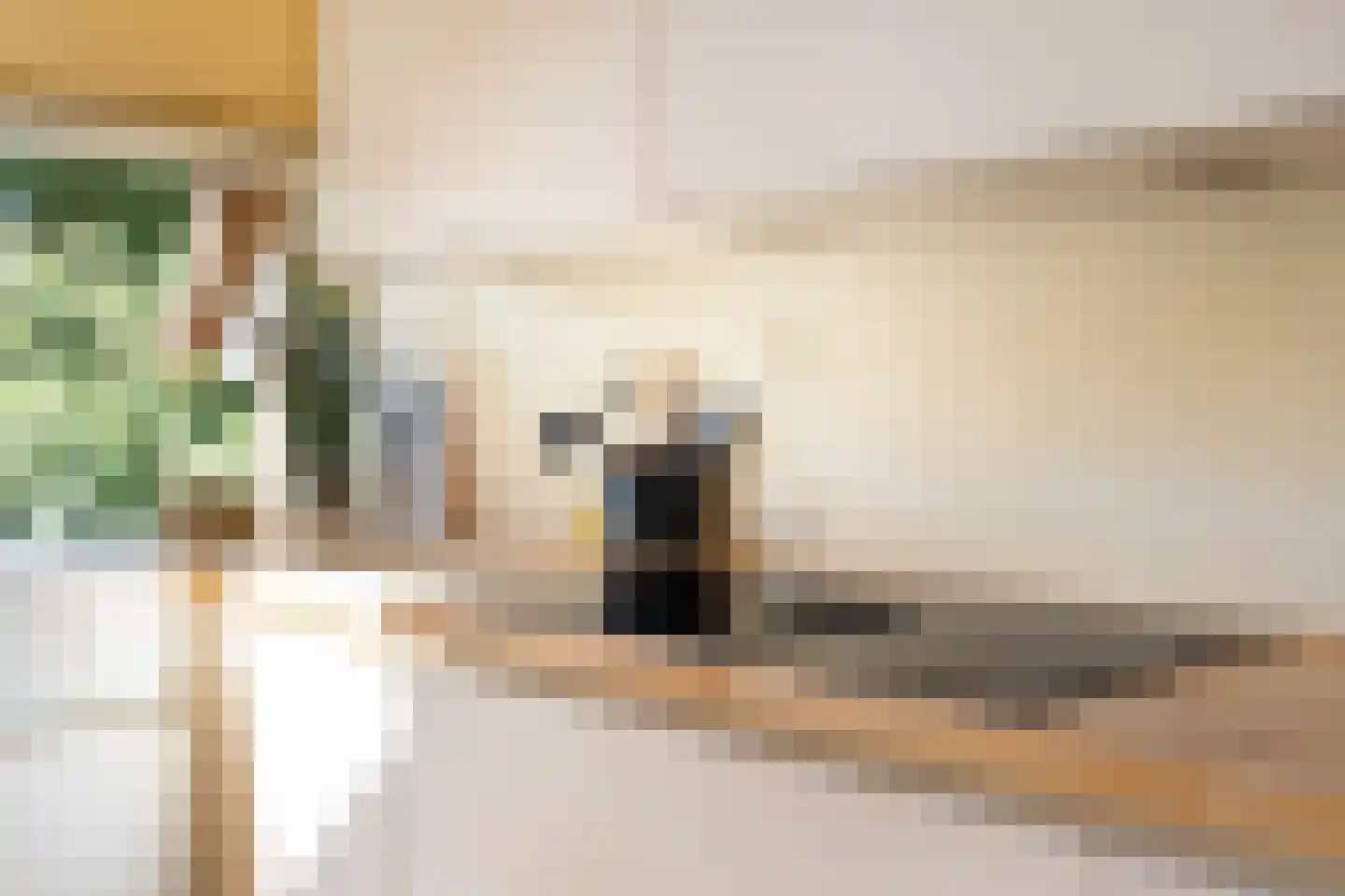 Schaapstreek 5 Sleen thumbnail 9