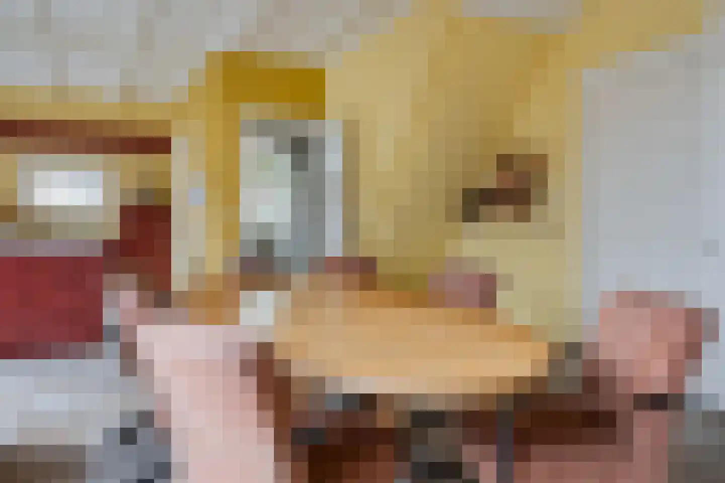 Schaapstreek 7 Sleen thumbnail 31