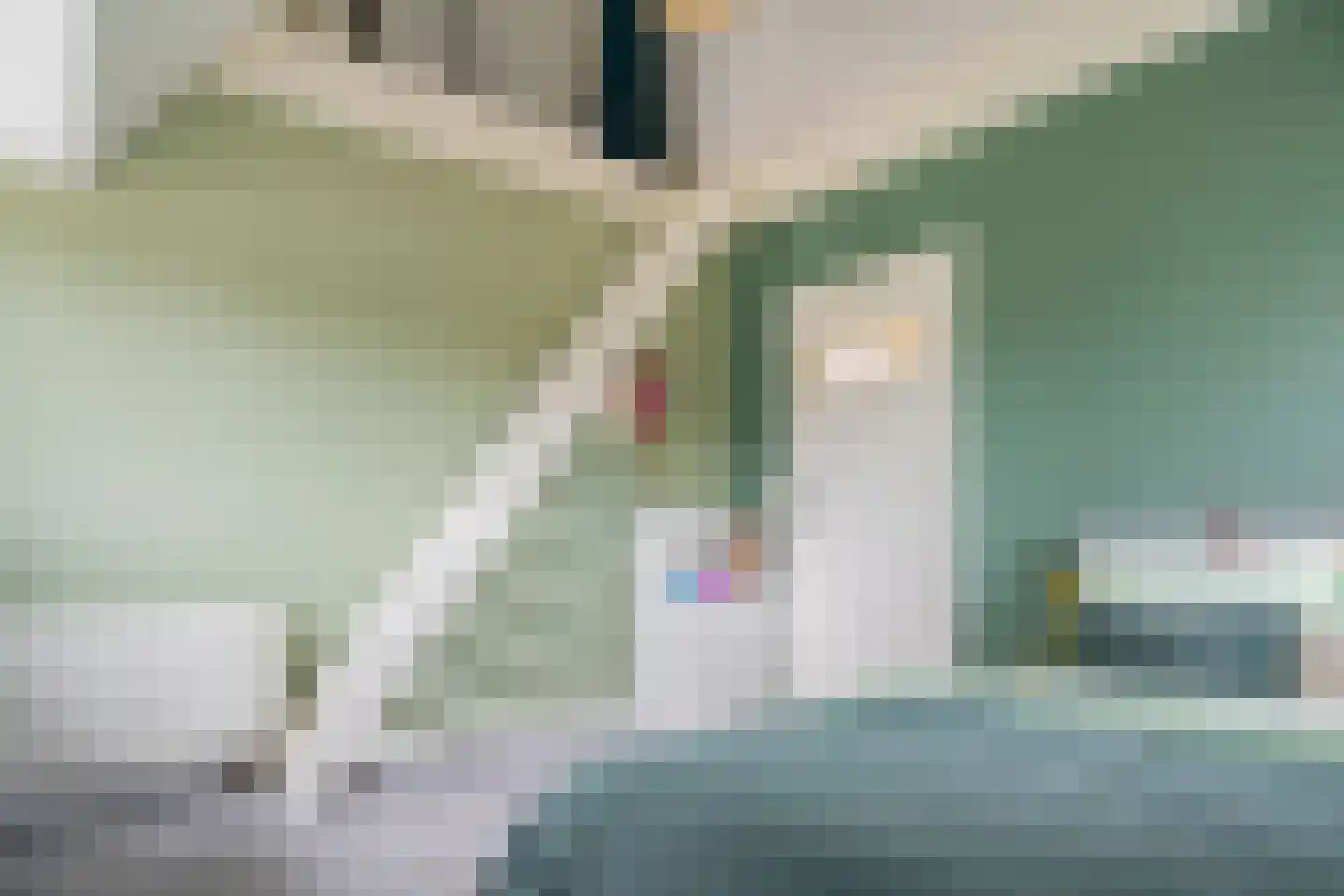 Schaapstreek 7 Sleen thumbnail 54