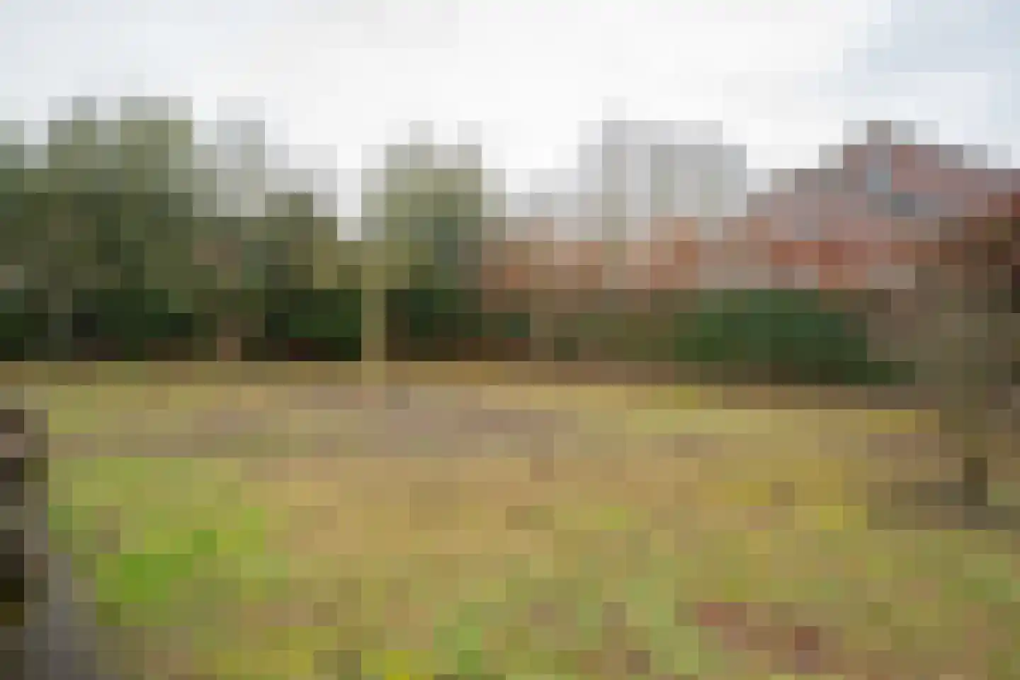 Schaapstreek 7 Sleen thumbnail 59