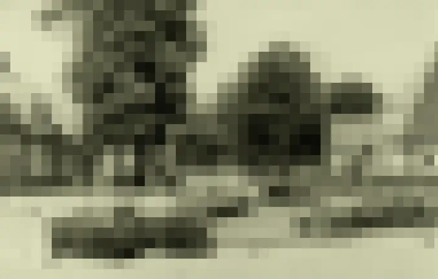 Schaapstreek 7 Sleen thumbnail 62