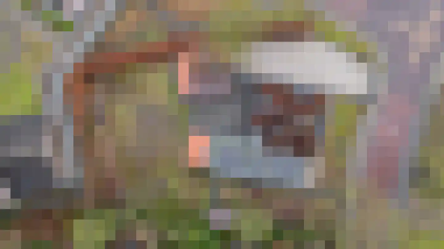 Schaapstreek 7 Sleen thumbnail 63