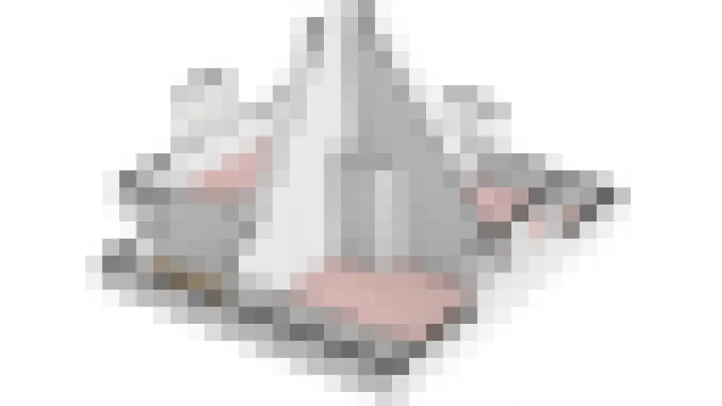 Schaapstreek 7 Sleen thumbnail 68