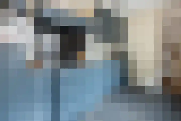 Schaapsveld 30 Barneveld thumbnail 11