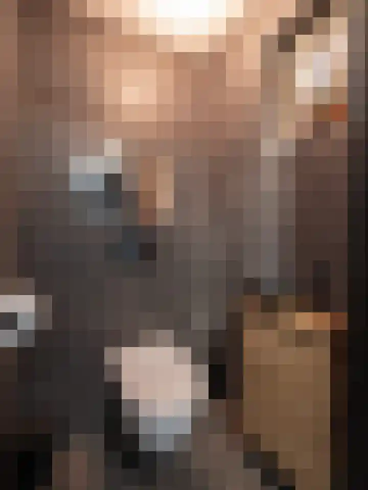 Schaapsveld 30 Barneveld thumbnail 15