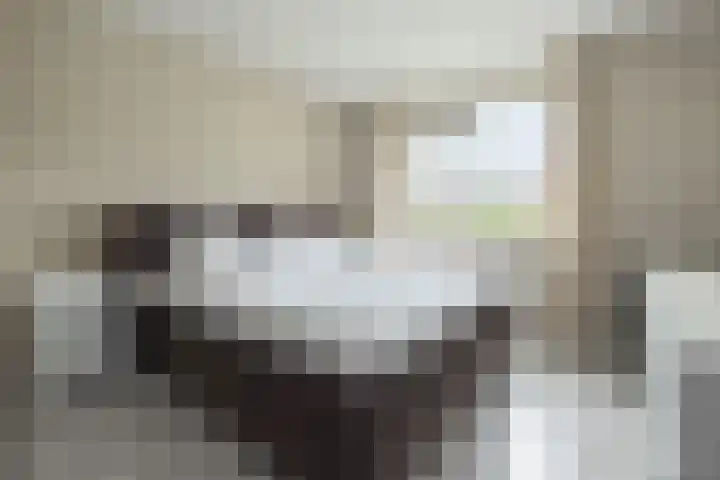 Schaapsveld 30 Barneveld thumbnail 18