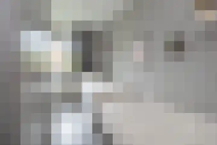 Schaapsveld 30 Barneveld thumbnail 20