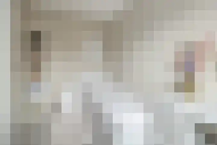 Schaapsveld 30 Barneveld thumbnail 23