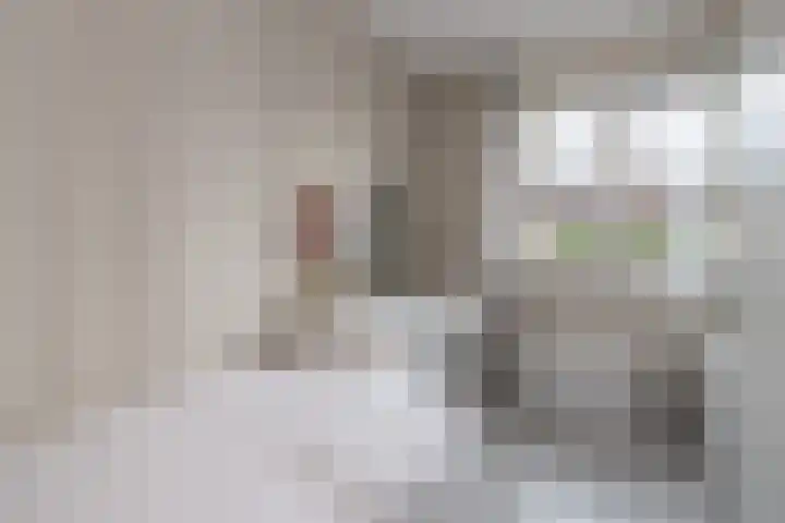 Schaapsveld 30 Barneveld thumbnail 24