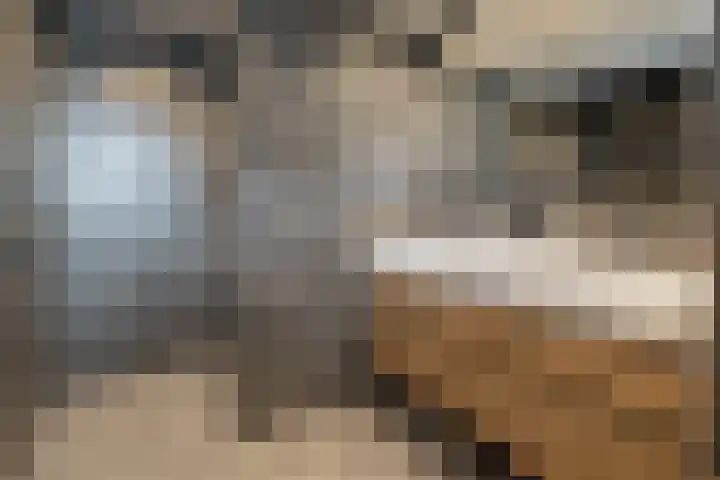 Schaapsveld 30 Barneveld thumbnail 25
