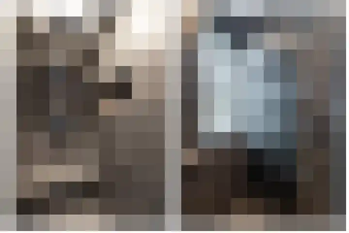Schaapsveld 30 Barneveld thumbnail 26