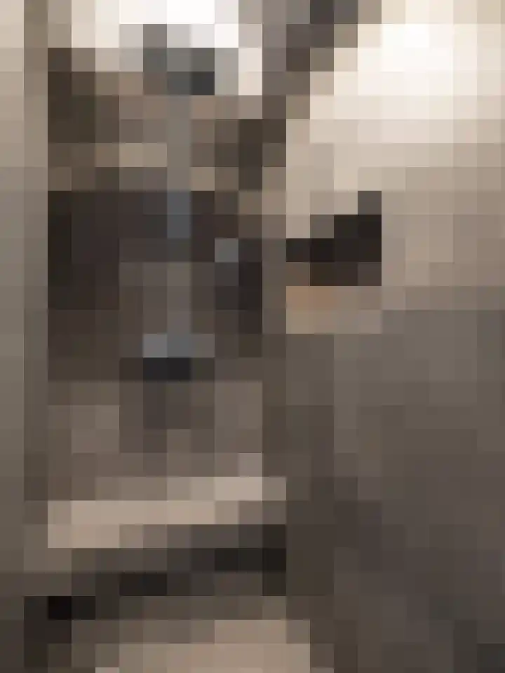 Schaapsveld 30 Barneveld thumbnail 27