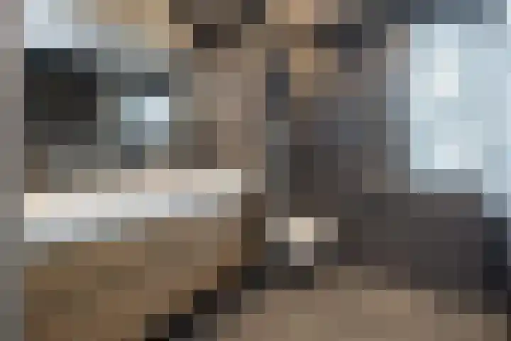 Schaapsveld 30 Barneveld thumbnail 29