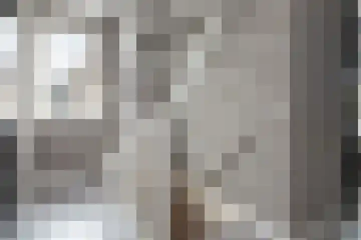 Schaapsveld 30 Barneveld thumbnail 30
