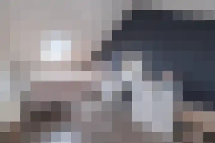 Schaapsveld 30 Barneveld thumbnail 31