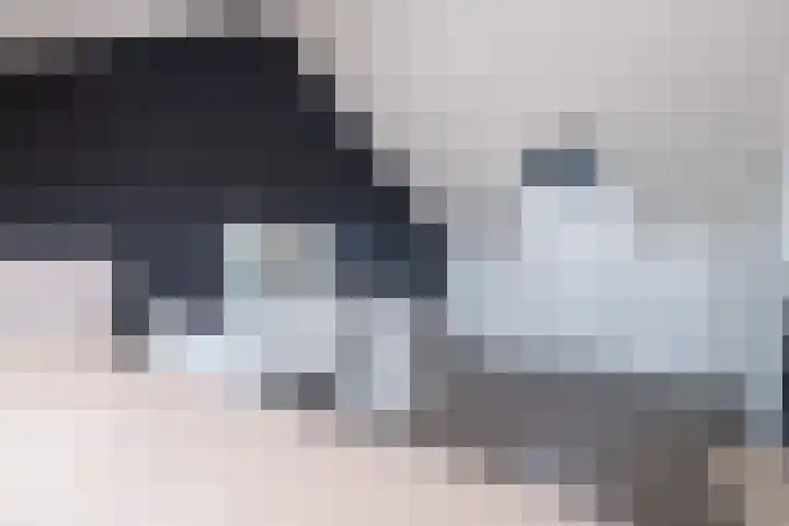 Schaapsveld 30 Barneveld thumbnail 32