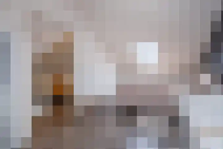 Schaapsveld 30 Barneveld thumbnail 33
