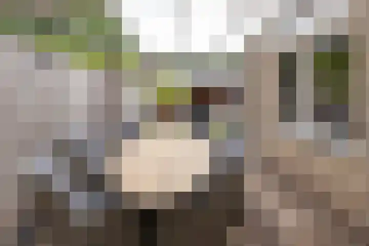 Schaapsveld 30 Barneveld thumbnail 35