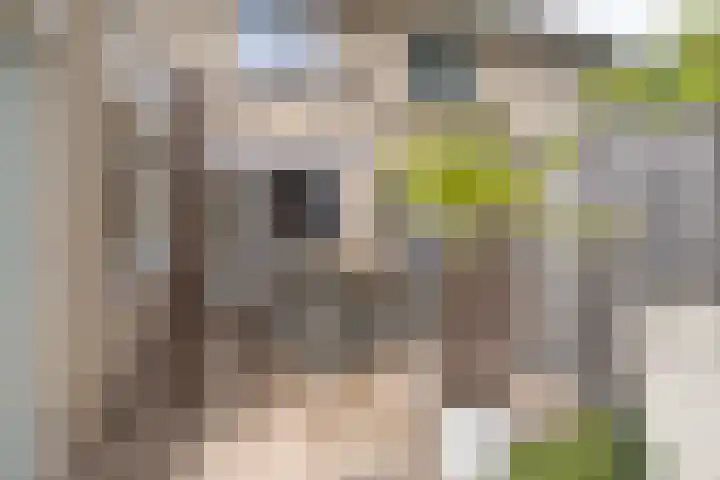 Schaapsveld 30 Barneveld thumbnail 36