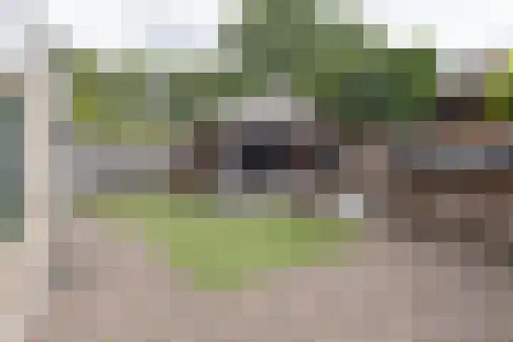 Schaapsveld 30 Barneveld thumbnail 38