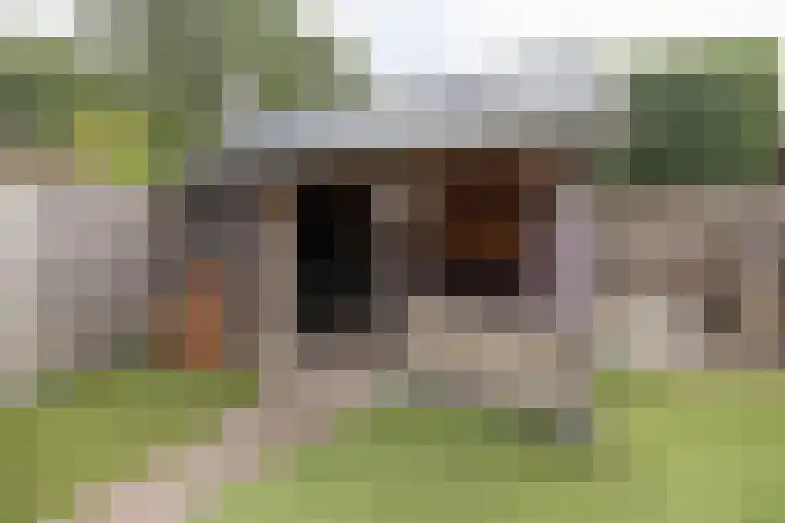 Schaapsveld 30 Barneveld thumbnail 40
