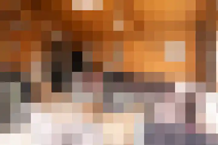 Schaapsveld 30 Barneveld thumbnail 41