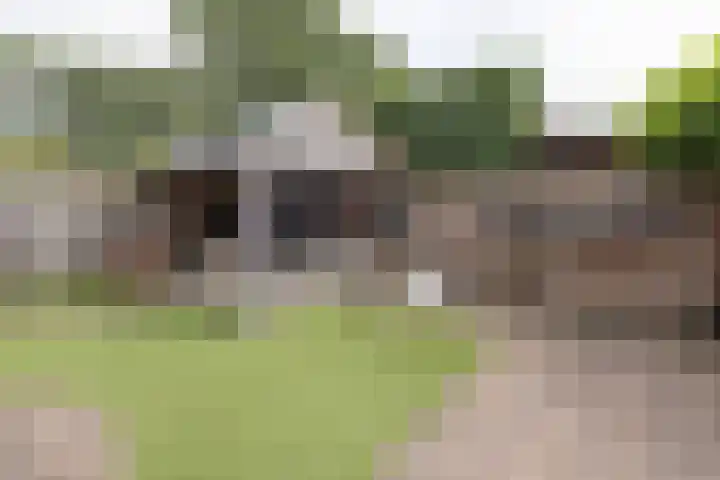 Schaapsveld 30 Barneveld thumbnail 42