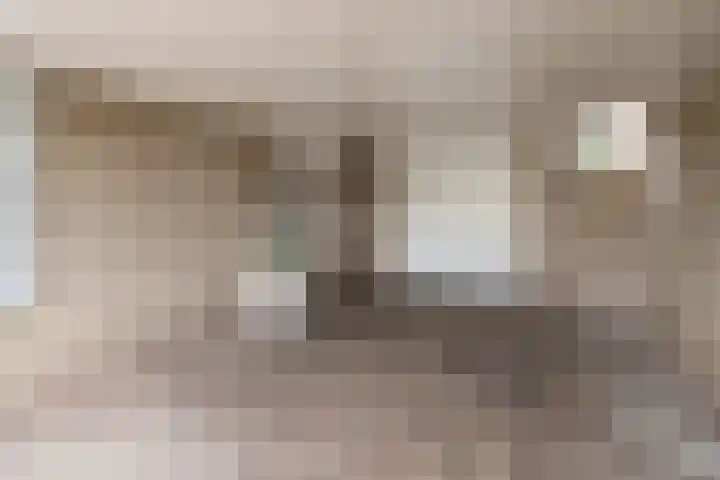 Schaapsveld 30 Barneveld thumbnail 43