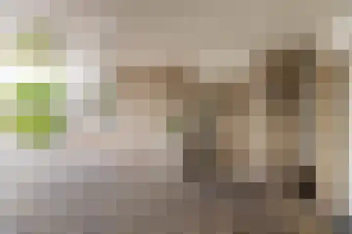 Schaapsveld 30 Barneveld thumbnail 44