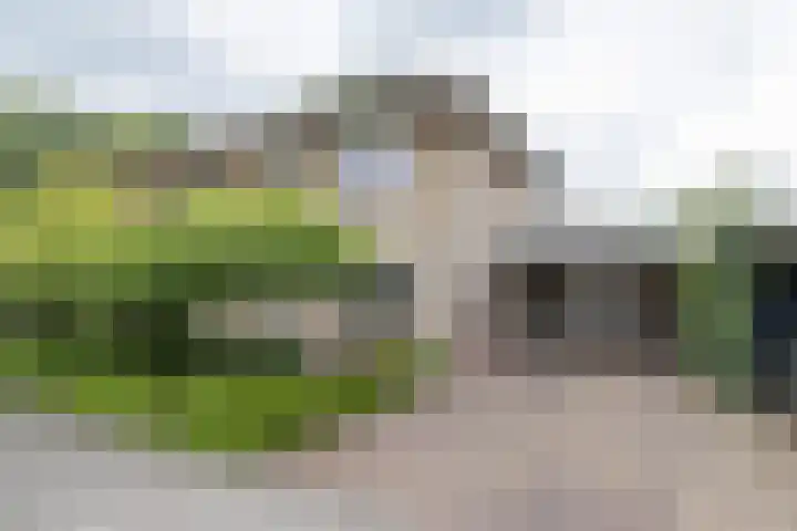 Schaapsveld 30 Barneveld thumbnail 45