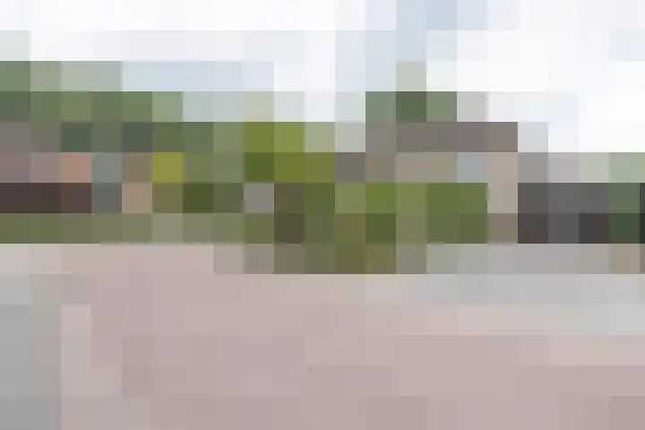 Schaapsveld 30 Barneveld thumbnail 46