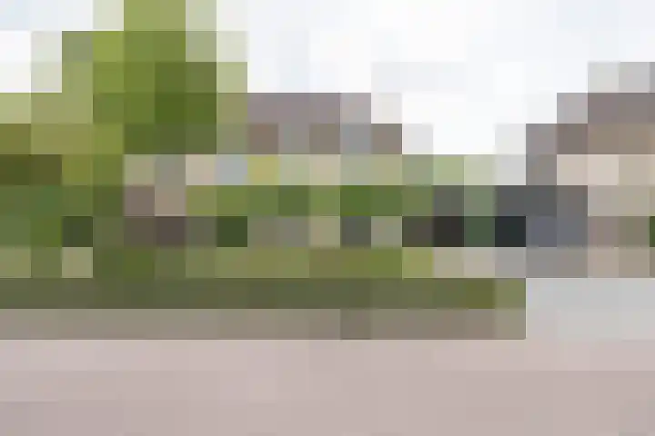 Schaapsveld 30 Barneveld thumbnail 47
