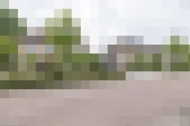 Schaapsveld 30 Barneveld thumbnail 48