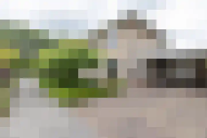 Schaapsveld 30 Barneveld thumbnail 49