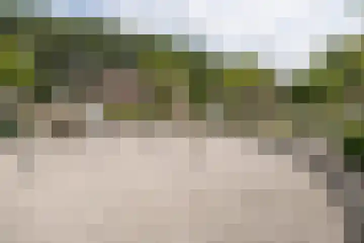 Schaapsveld 30 Barneveld thumbnail 50