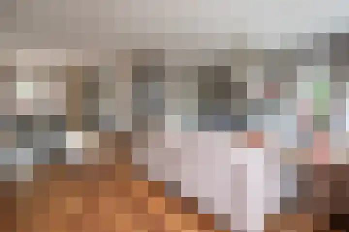 Schaapsveld 30 Barneveld thumbnail 6