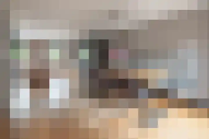 Schaapsveld 30 Barneveld thumbnail 8