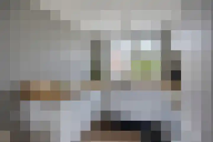 Schaapsveld 35 Barneveld thumbnail 10