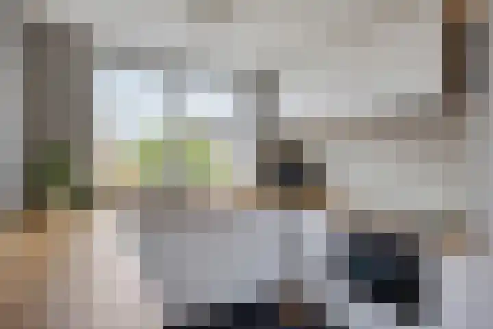 Schaapsveld 35 Barneveld thumbnail 12