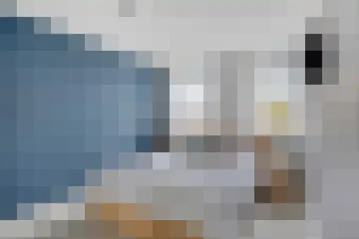 Schaapsveld 35 Barneveld thumbnail 13