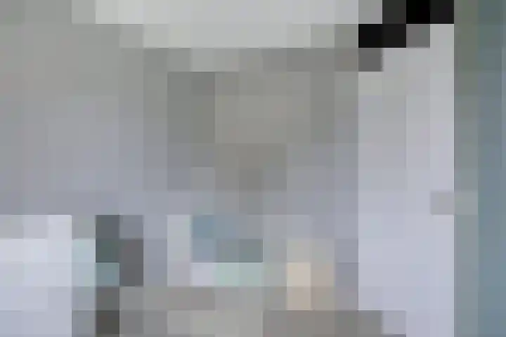 Schaapsveld 35 Barneveld thumbnail 18