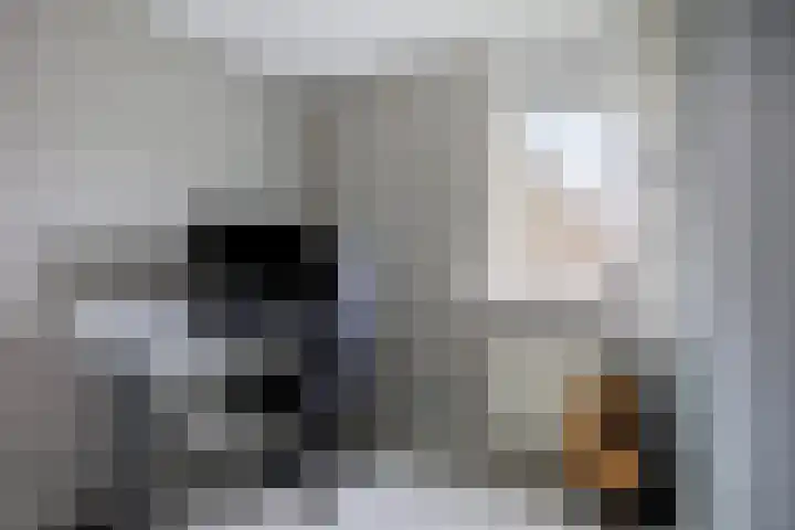Schaapsveld 35 Barneveld thumbnail 19