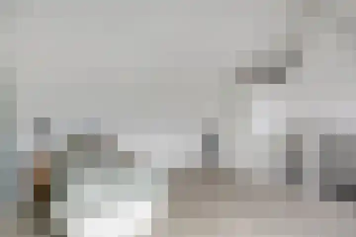 Schaapsveld 35 Barneveld thumbnail 21