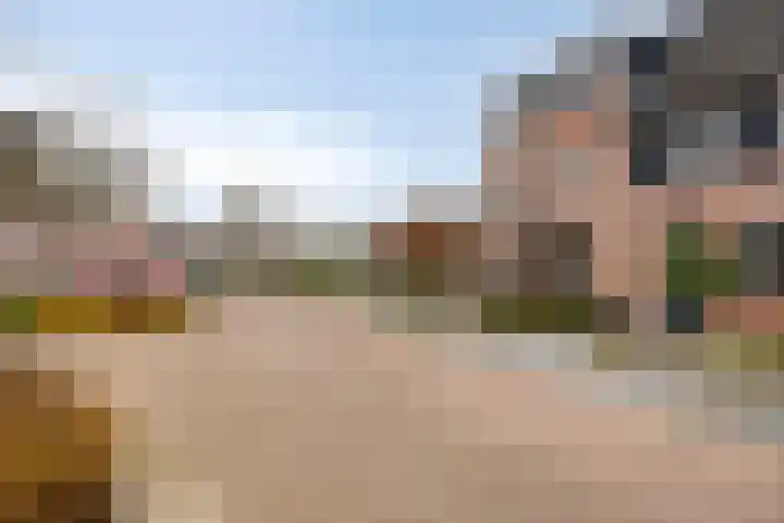 Schaapsveld 35 Barneveld thumbnail 26