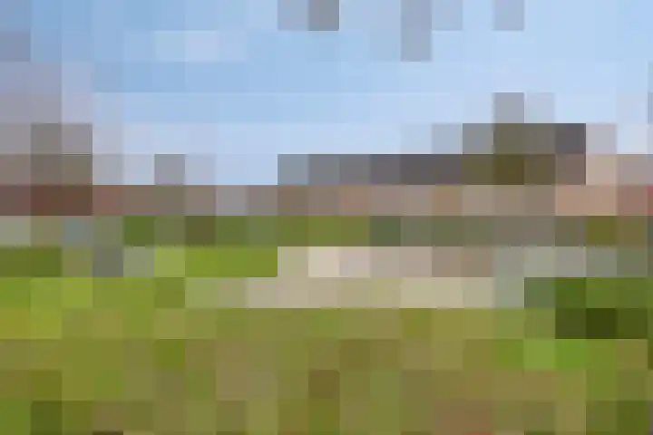 Schaapsveld 35 Barneveld thumbnail 27