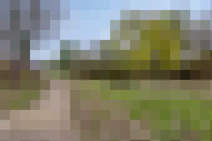 Schaapsveld 35 Barneveld thumbnail 28