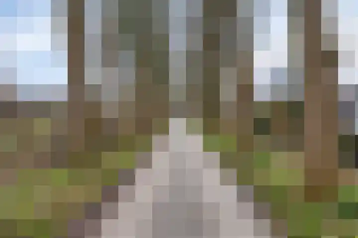 Schaapsveld 35 Barneveld thumbnail 29