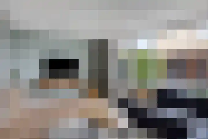 Schaapsveld 35 Barneveld thumbnail 6